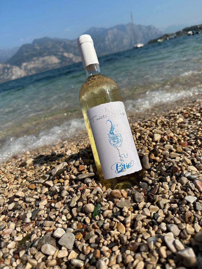 Brio sulla riva del Lago di Garda